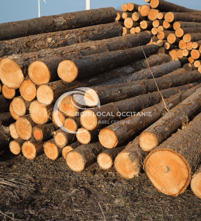 des gros rondins de bois empilés