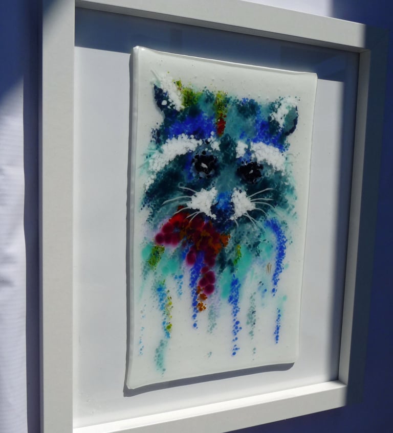 Racoon