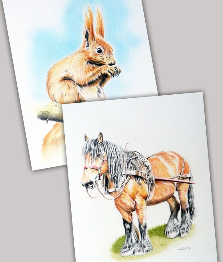 Original wildlife art by sean duffy artist