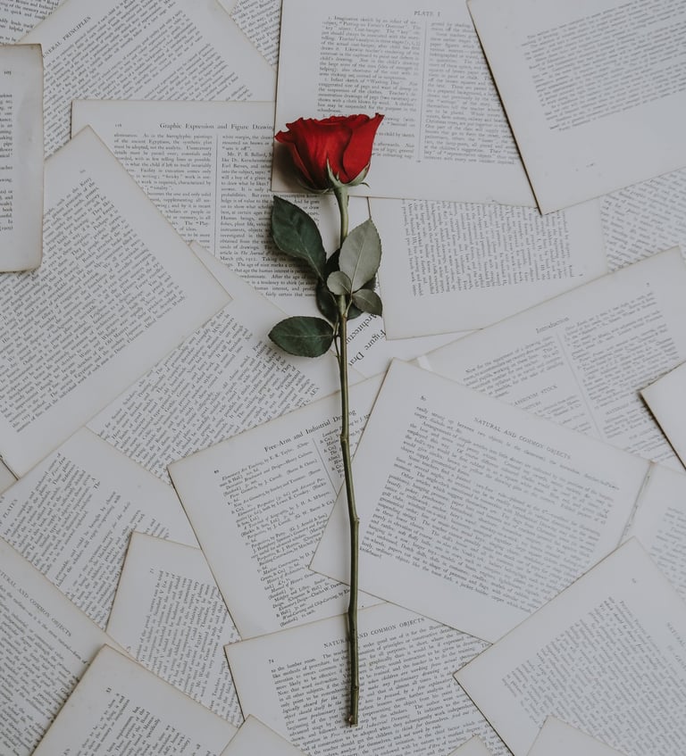 Rose on top of printed sheets of paper.