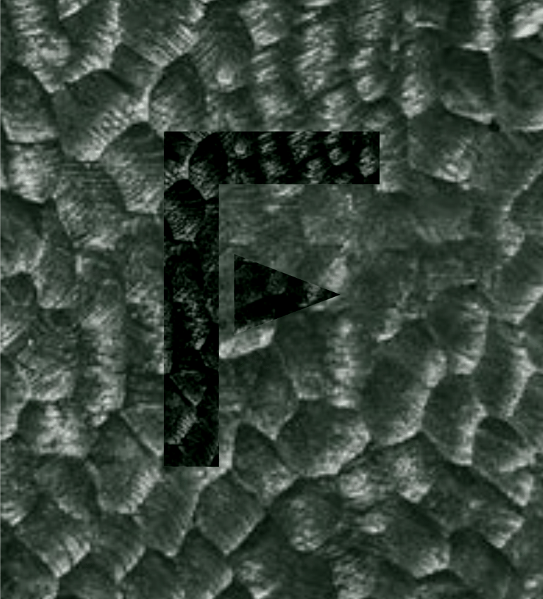 Close-up of burnt and carved wood, showcasing detailed woodwork in custom furniture manufacturing.