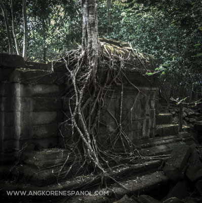 Templo de Beng Mealea