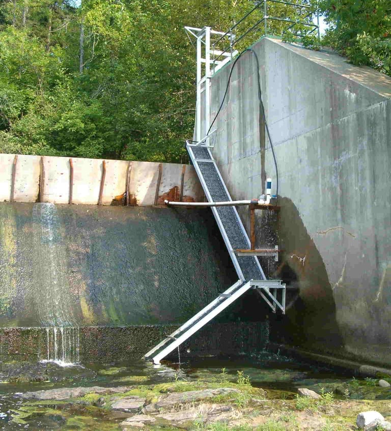 Eel Ramp