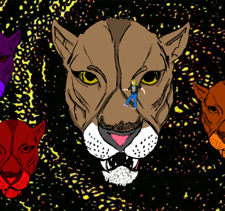 CatMxn Image Cat Heads