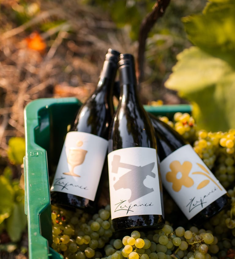 a bunch of wine bottles with wine bottles and grapes