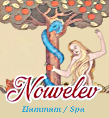 Logo NouvelEv