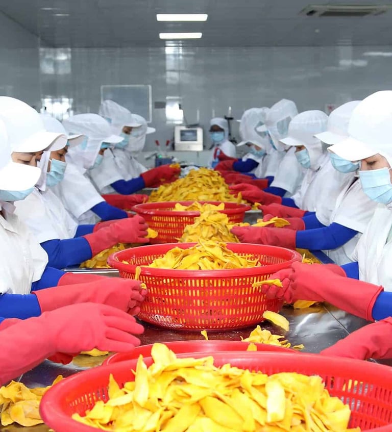 producing dried mango