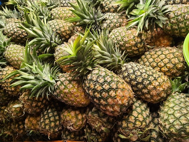 Pineapple from Vietnam