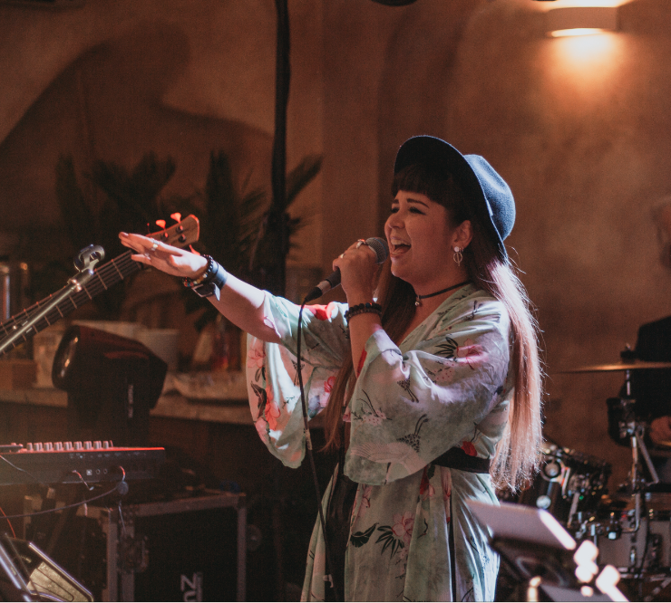 Vestuviu muzikantai, vestuviu grupe, makin colors