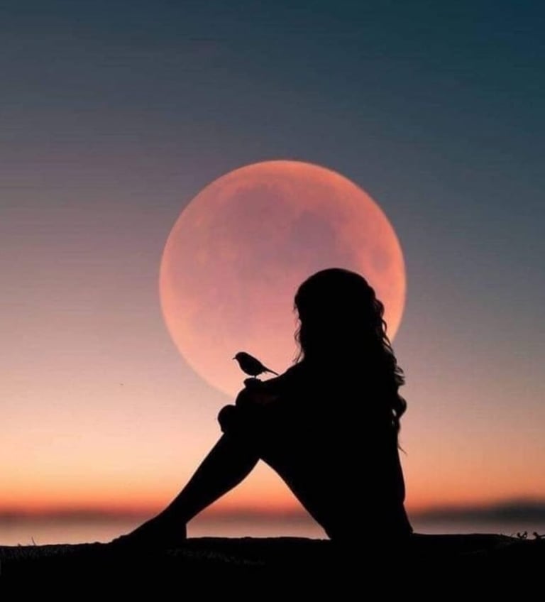 femme assise avec un oiseau devant la lune qui accompagne son voyage intérieur