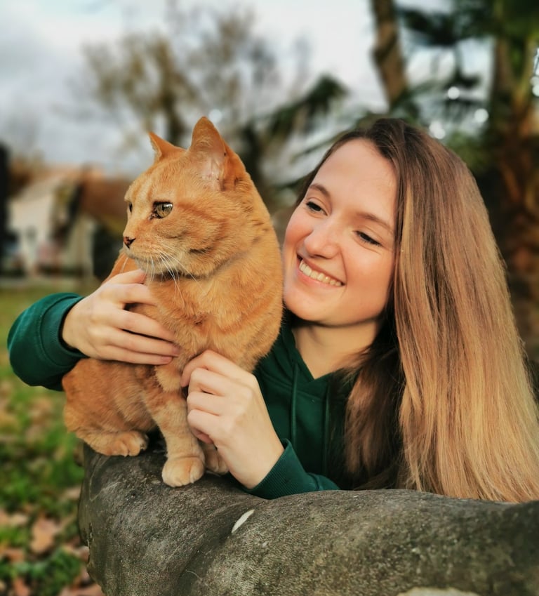 Ostéopathie animale, manipulations ostéopathiques sur un chat par un ostéopathe animalier