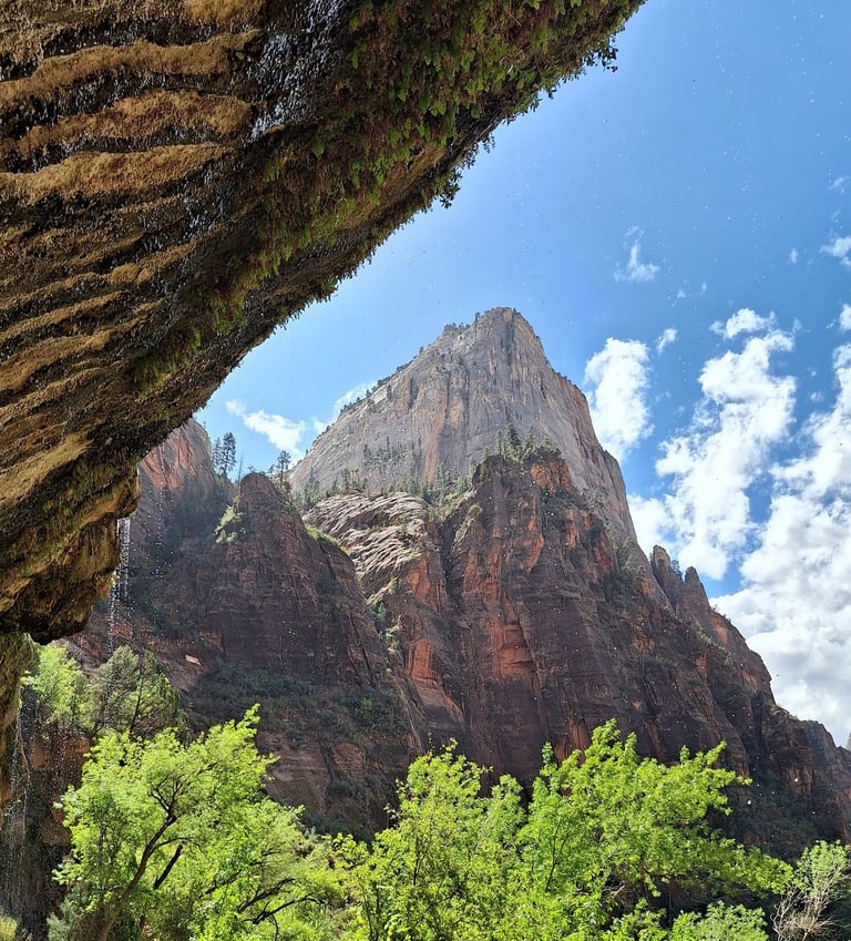The Weeping rock in Zion National Park