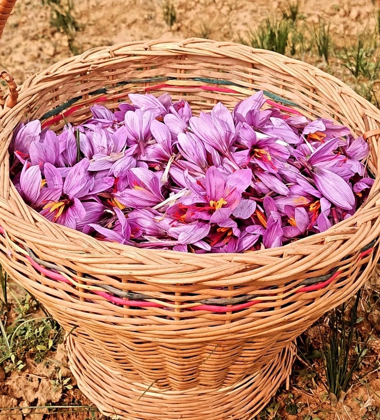 HEAVEN SAFFRON FARMS