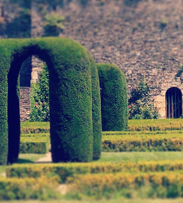 portes végétales amenant à notre inconscient retrouver les portes de l'inconscient