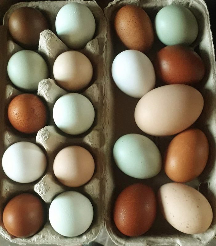 Sękiewiczówka - agroturystyka małopolska - gospodarstwo agroturystyczne dla dzieci