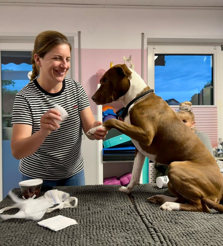 Marissa Füger beim Erste Hilfe Kurs Hund - Marissa behandelt einen Hund