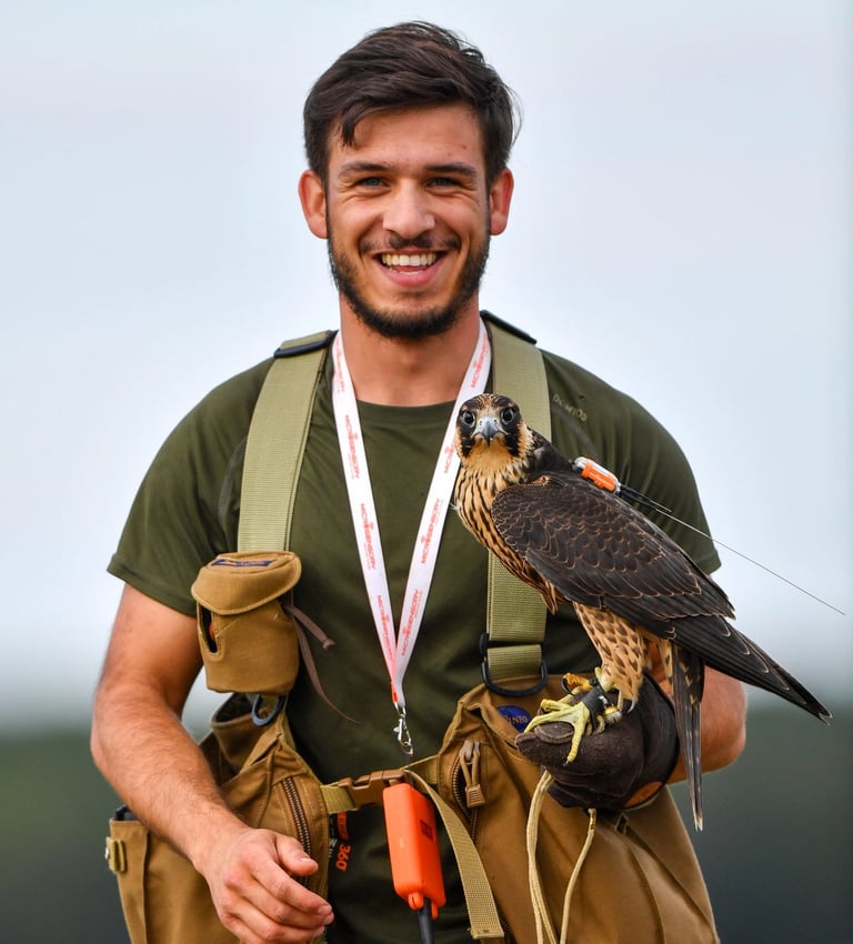 gérant de falco eco solutions