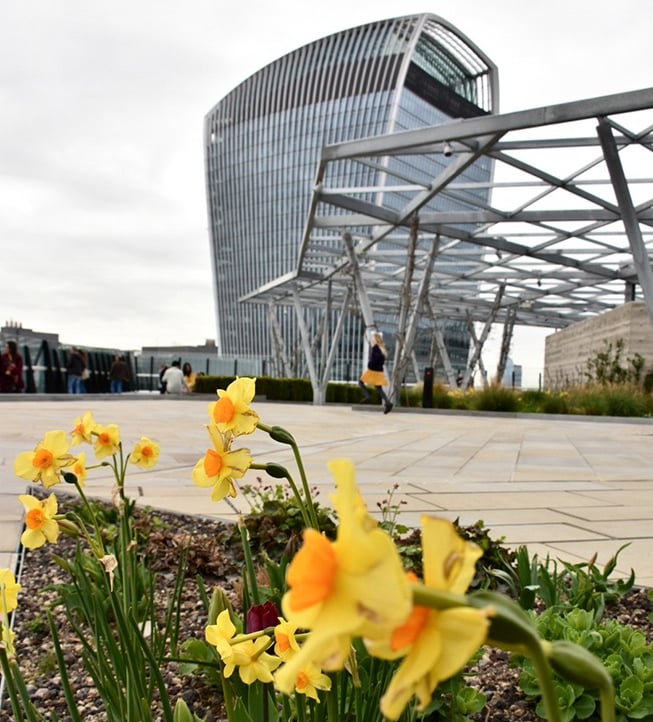 Le Sky Garden vu depuis The Garden at 120