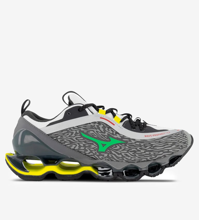 Mizuno wave prophecy