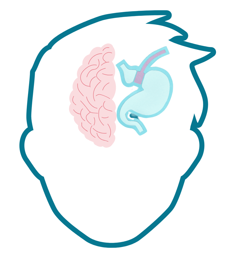 a person's head and neck with a brain scang