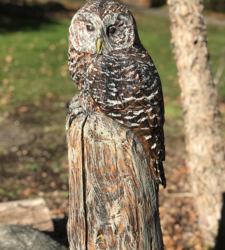 barred owl tree carving art stump