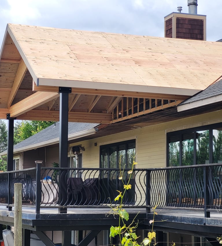 Covered back porch 