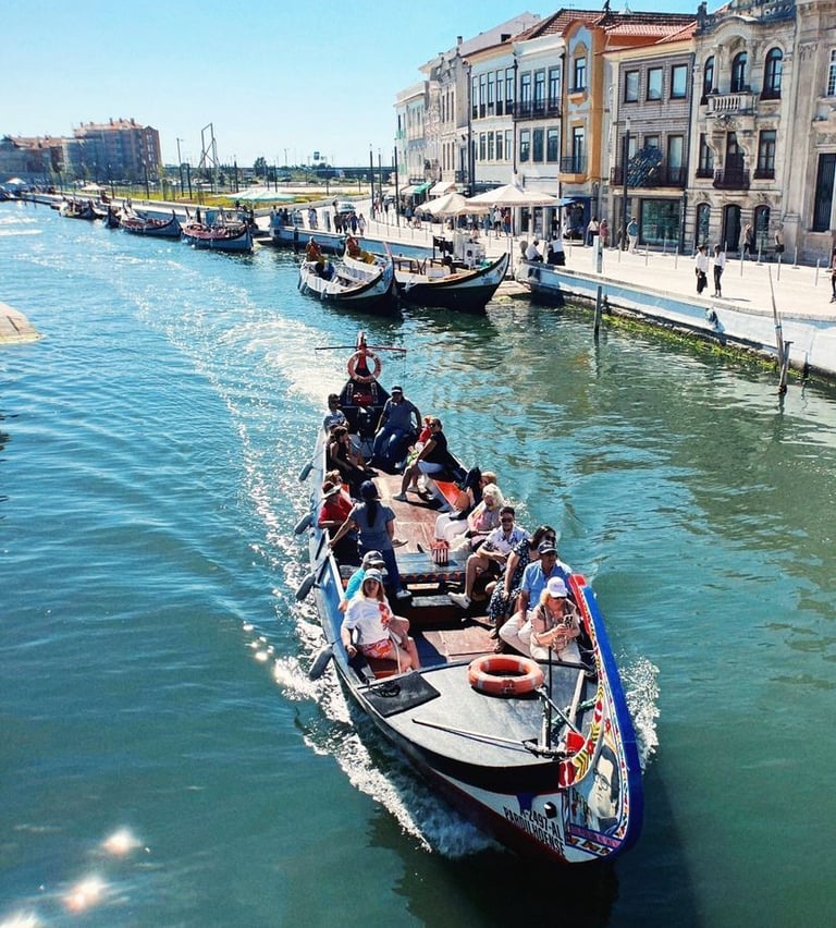 barco moliceiro bilhetes