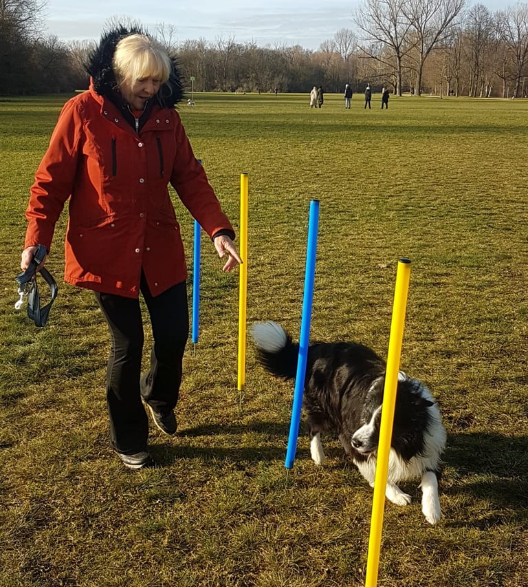Gabriele Bleier beim Agility Training