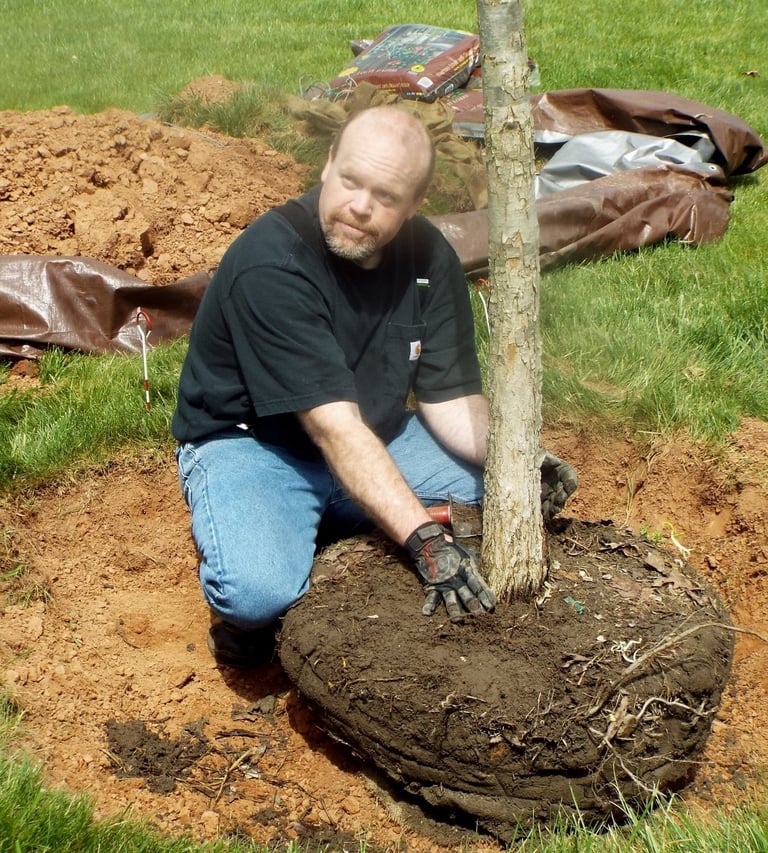 Christian Plunkett planting an oak tree