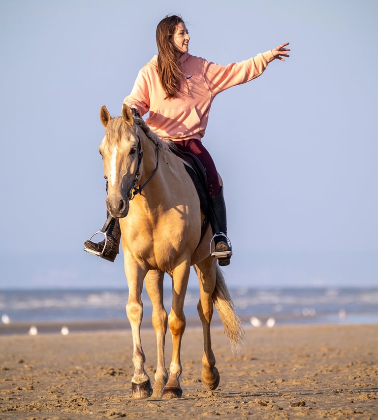 couple cavalier cheval la plage