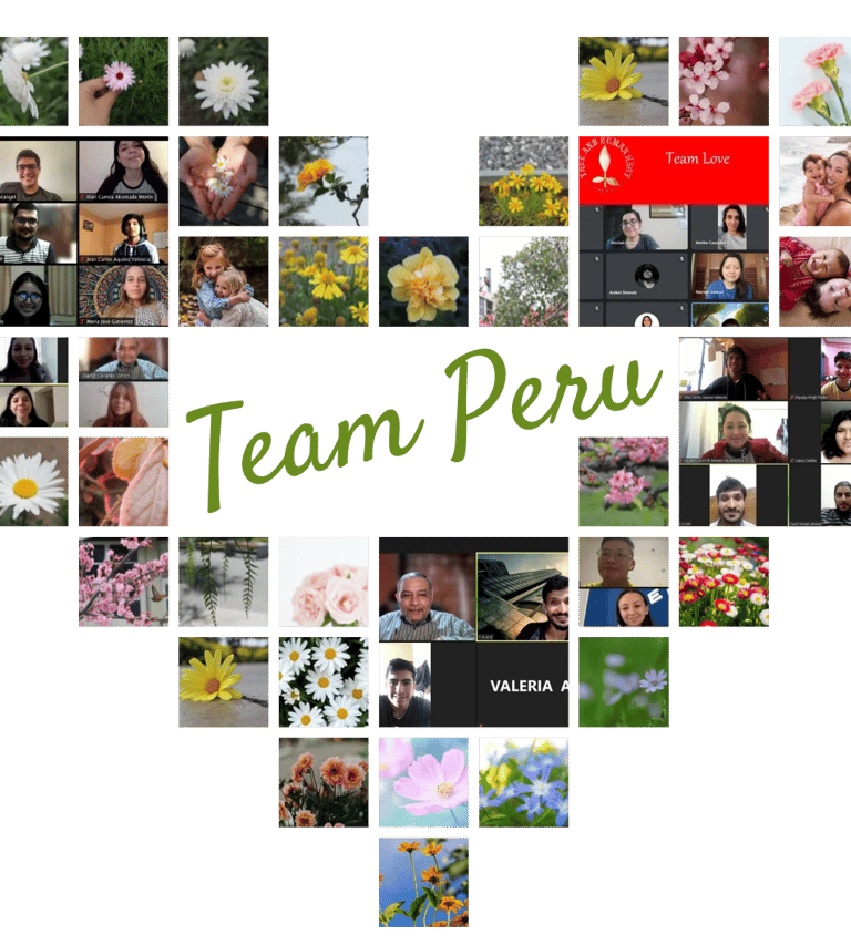 Envíe el formulario de solicitud para postularse al Programa de Pasantías Sostenibles y confirme