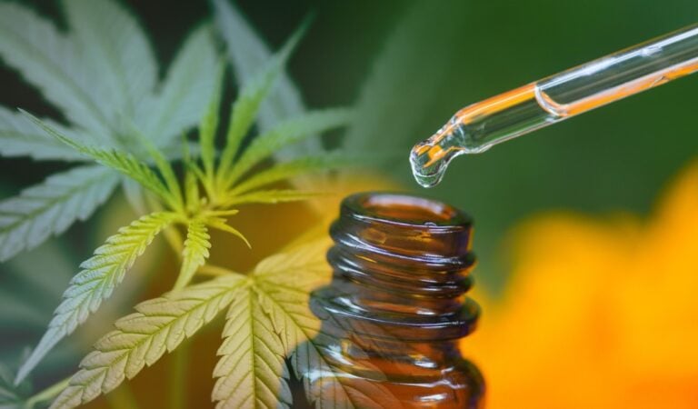 Prescrição de cannabis medicinal