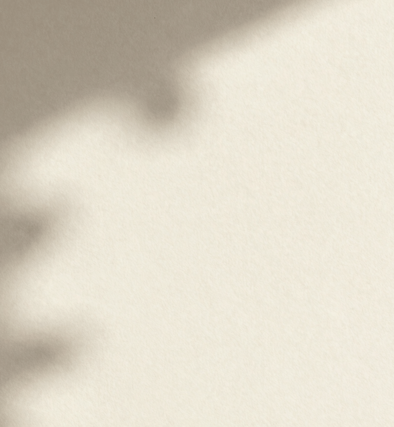 Abstract shot of light shadows on a cream-colored textured paper wall. Soft focus, grainy, minimalist composition with tones of #F8F3EC and #3E352B.