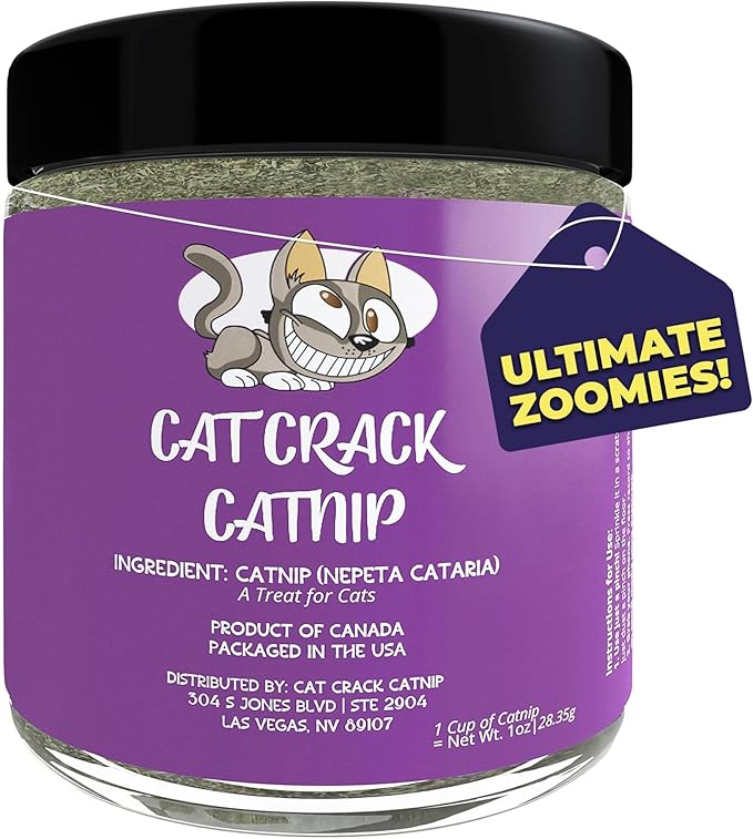 Container of natural catnip blend for cats used for play, enrichment, and training
