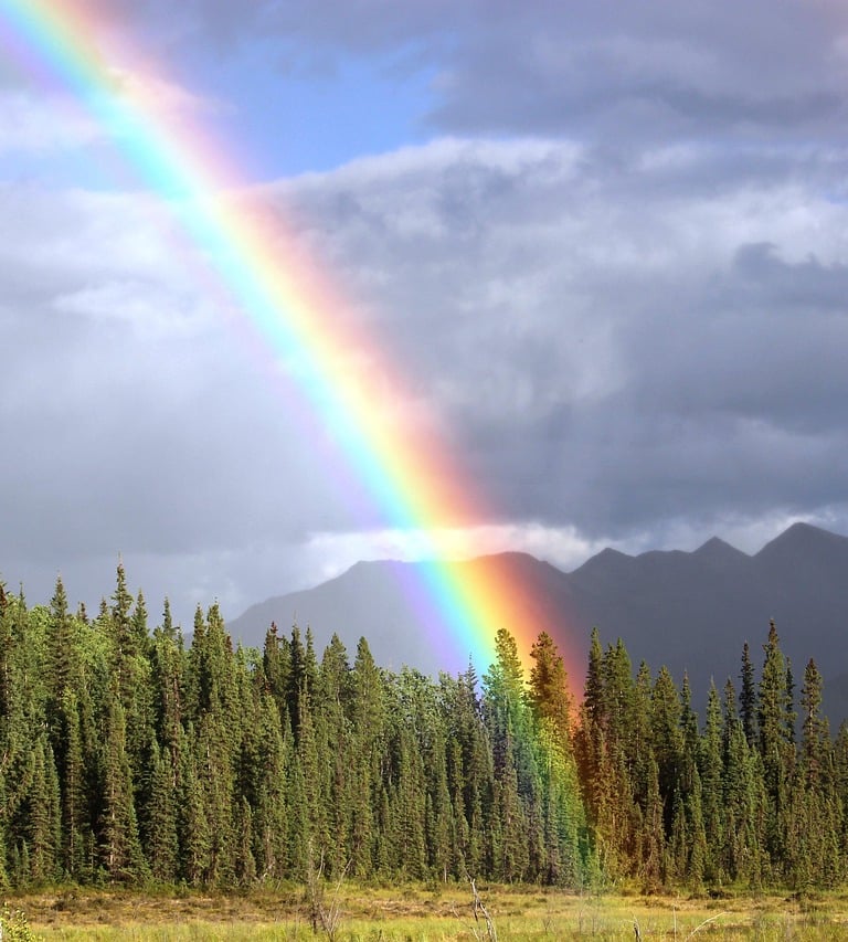 wikifaith-encyclopedia-wikipedia-wikileaks-jesus-the-god