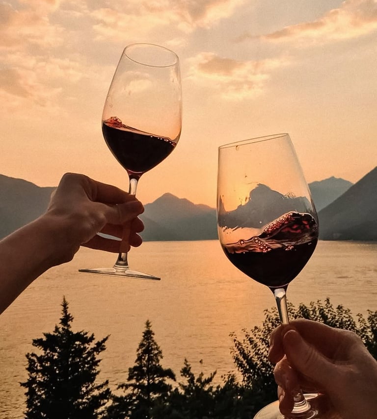 gestion cave à vin expert