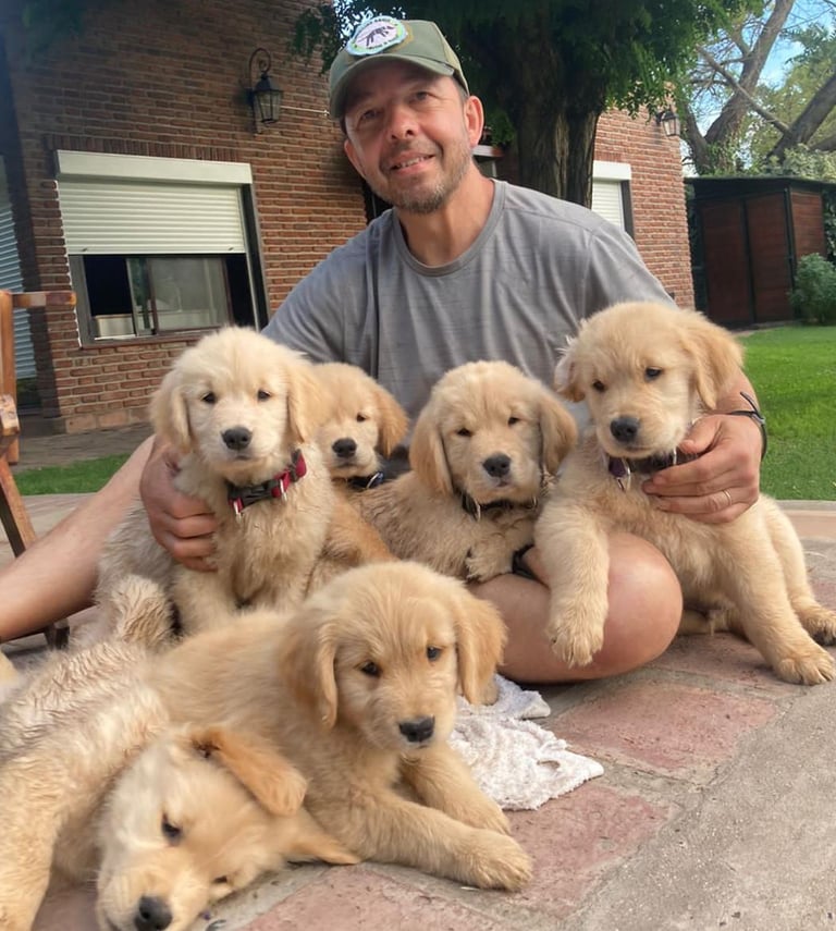 adiestrador PROFESIONAL UBA