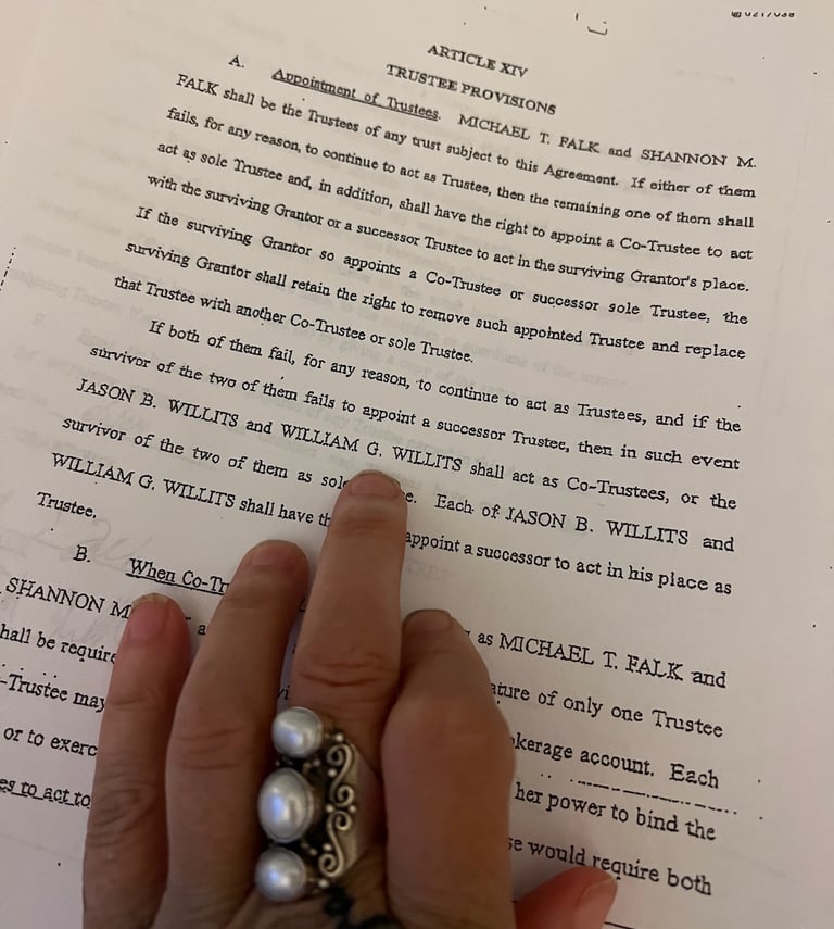 Lot of Shannon Falk power over The Willitts and Michael Falk