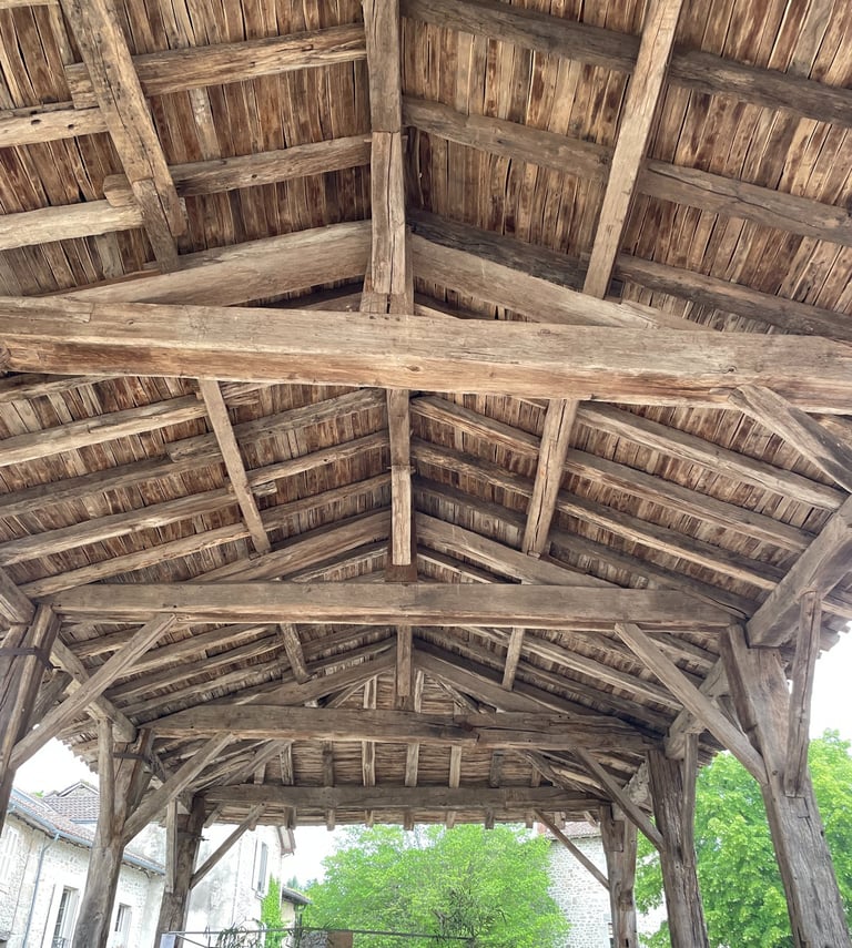 The covered market in Moretmart