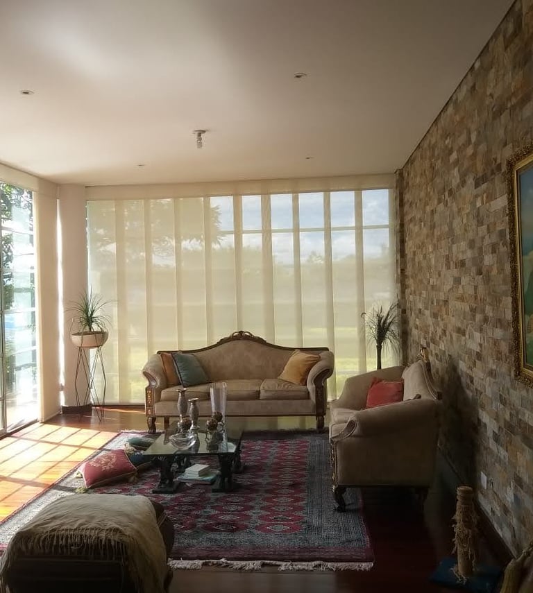 persiana panel japones