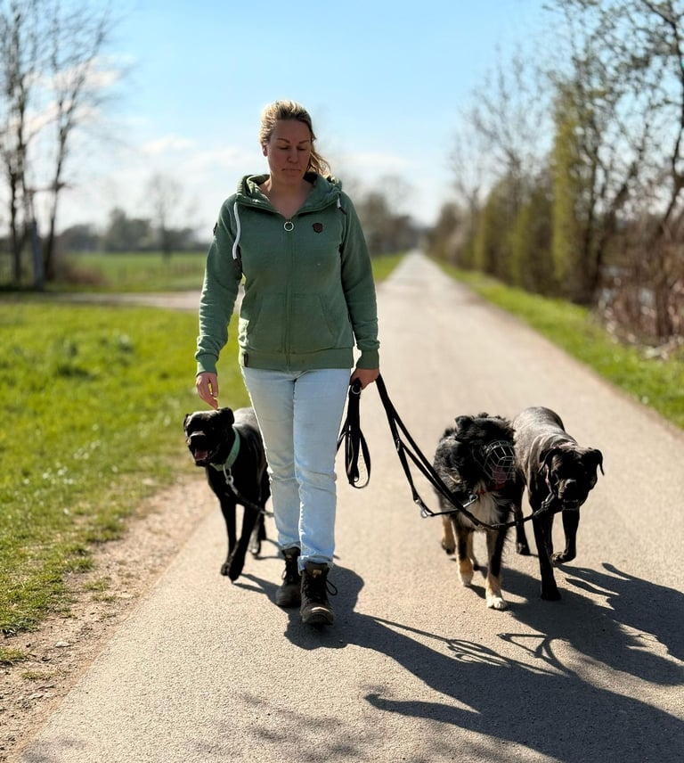 Katja beim entspannten Spaziergang mit 3 Hunden
