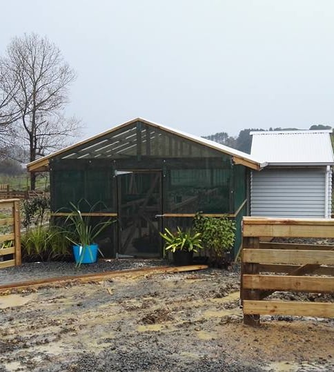 Green house construction CHR Builders