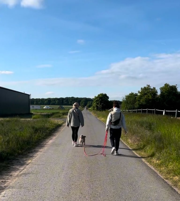Eineltraining der Hundeschule Resistencedog in Braunschweig