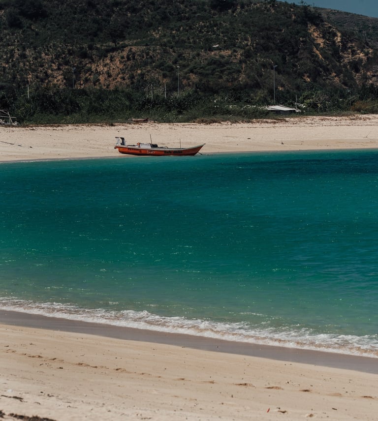 a boat in the water near a beach
