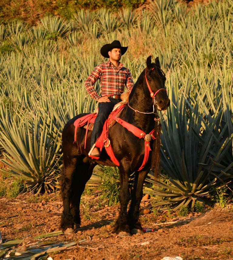 EL VILLANO