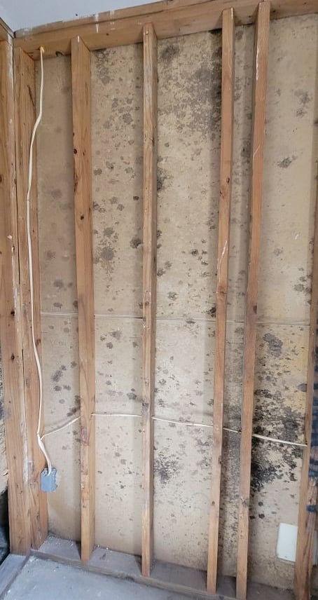 Mold discovered inside wall cavity