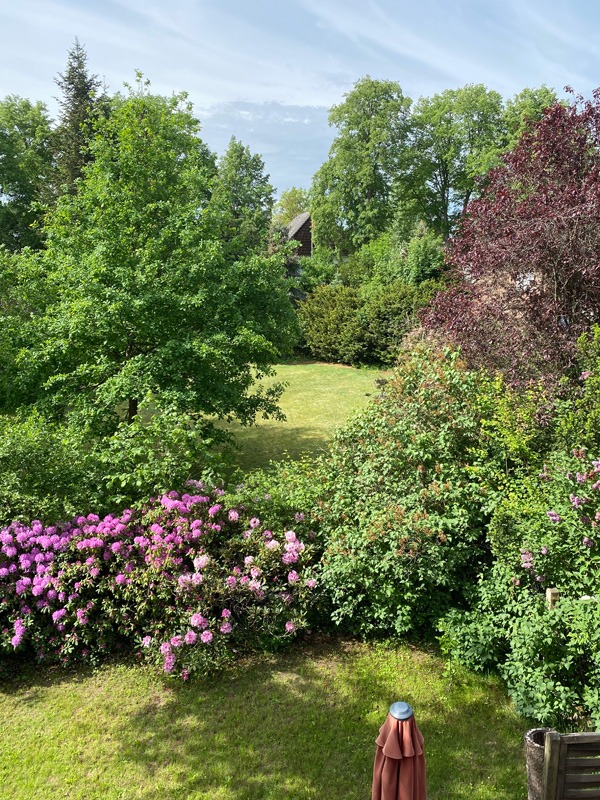 Ferienwohnung No 2 bei Familie Graue in Luhmühlen. Blick aus dem Wohnzimmerfenster.