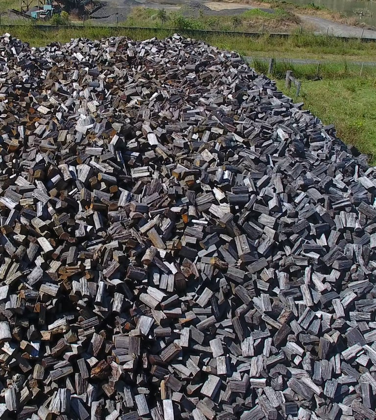 Pile of seasoned firewood