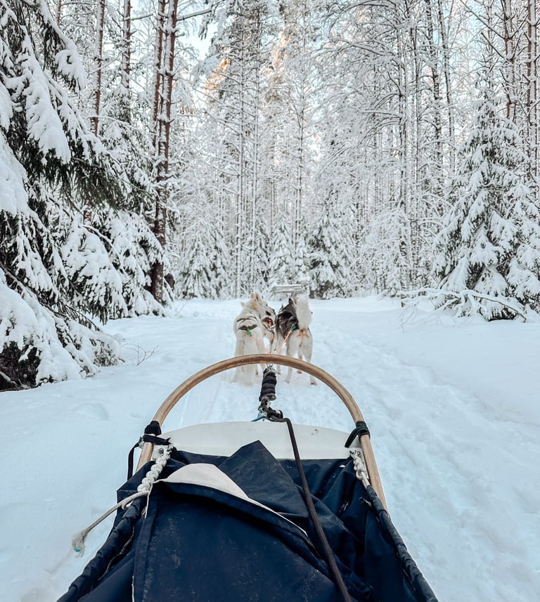 Dog sledding in Finland