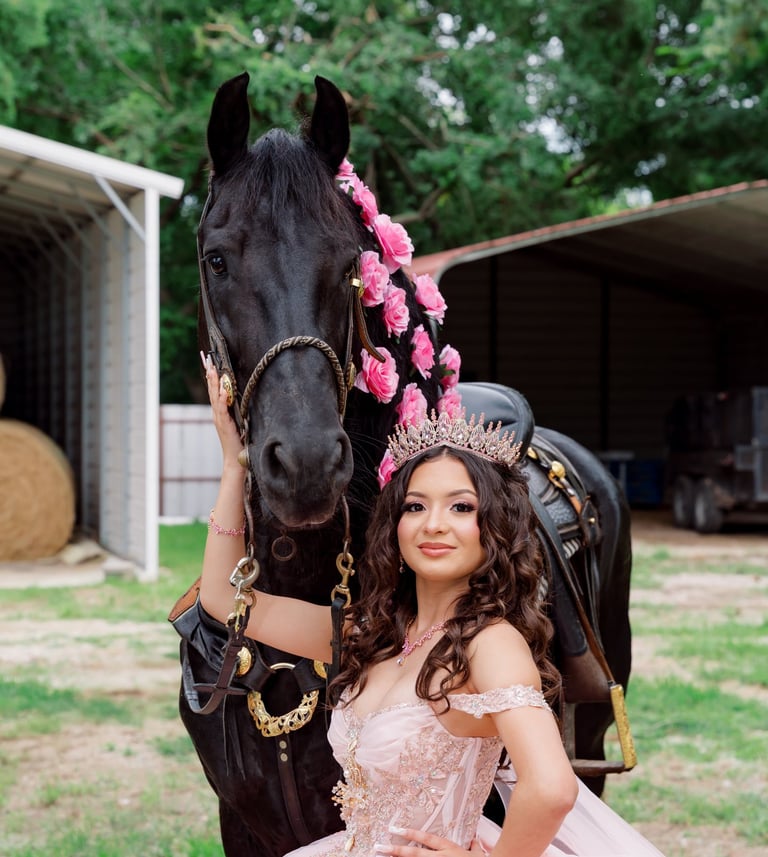 Quince horse photographer